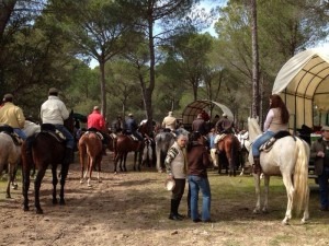 camino_web